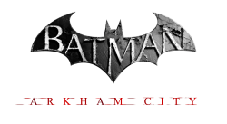 Batman Arkham City